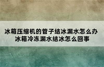 冰箱压缩机的管子结冰漏水怎么办 冰箱冷冻漏水结冰怎么回事